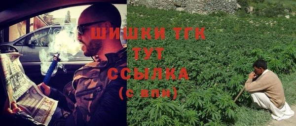 дживик Осташков