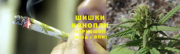 дживик Осташков