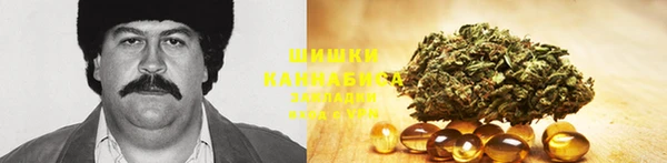 дживик Осташков