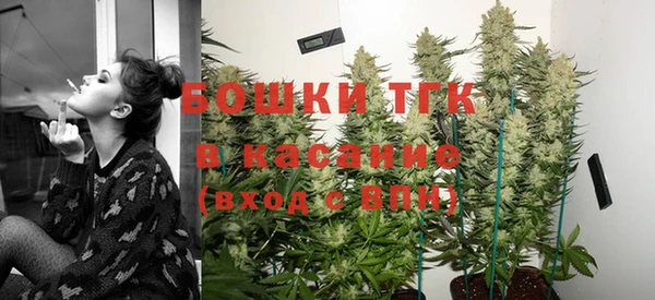 дживик Осташков
