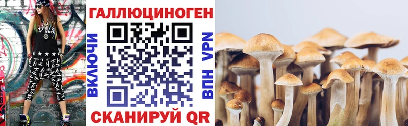 Купить где  Петрозаводск  Псилоцибиновые грибы GOLDEN TEACHER