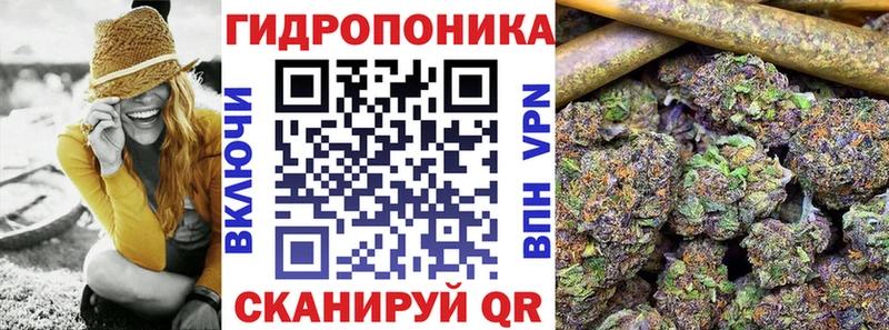 Конопля индика  Купить  Петрозаводск 